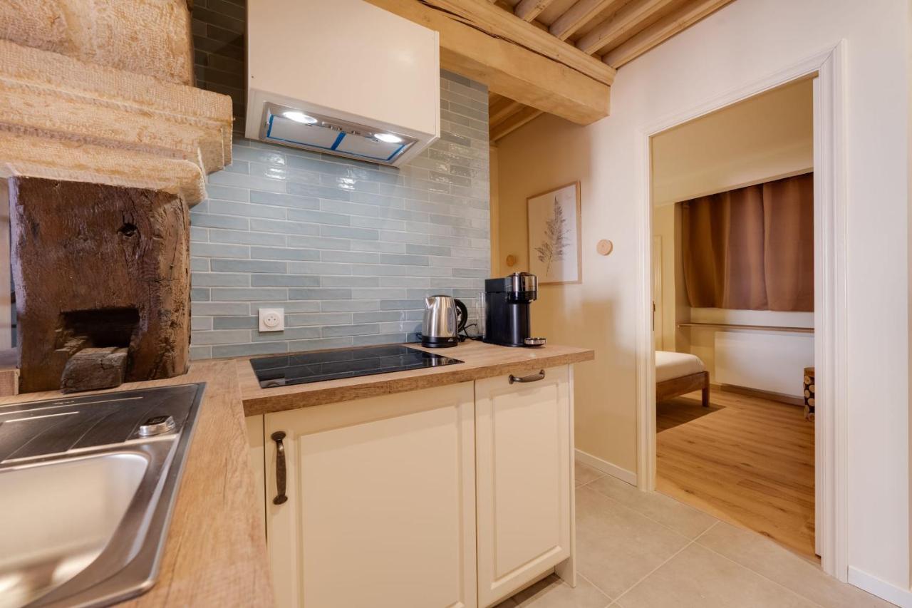 Le Balcon Perriere I - Charming Apartment With Direct View Of The Thiou Аннесі Екстер'єр фото